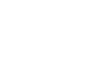 LOGOCAPOLIVO