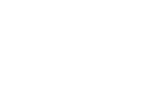 LOGOTECHBPO